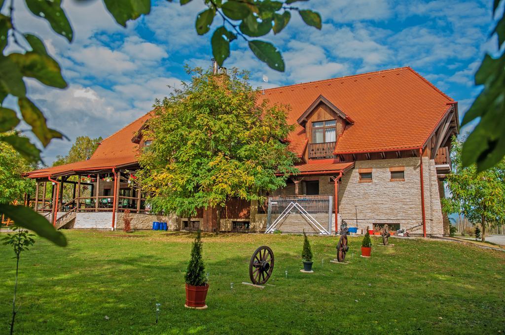 Отель Hovirag Panzio Borzont Экстерьер фото